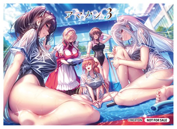 画像1: リセ オーバーチュア Ver.ネクストン 4.0 予約特典 限定スリーブ+新規PRカード1枚 (1)
