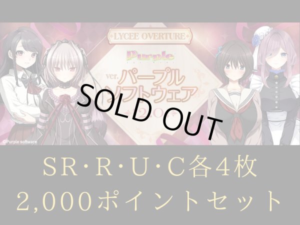 画像1: C~SR 4コン + 2,000ポイントセット リセ パープルソフトウェア2.0 (1)