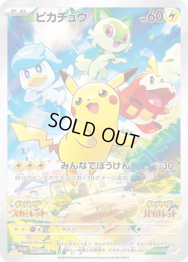 画像1: 【ランクS】ポケモンカード みんなでぼうけん ピカチュウ プロモカード (1)