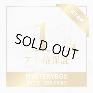 hololive ocg 【予約】英語版 hololive OFFICIAL CARD GAME Booster