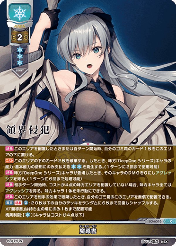 画像1: C 魔導書 (1)