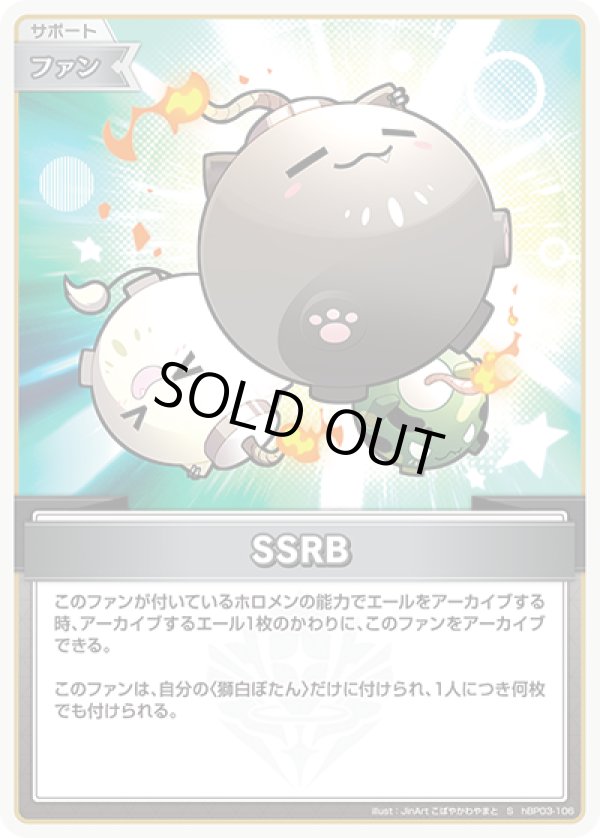 画像1: S SSRB (1)