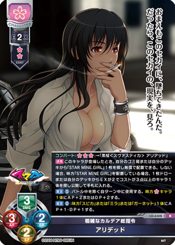 画像1: R 粗雑なカルデア総指令 アリデッド (1)