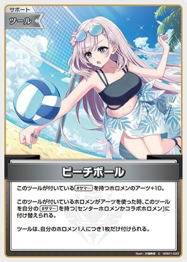 画像1: C ビーチボール (1)